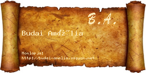 Budai Amália névjegykártya
