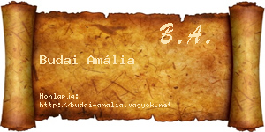 Budai Amália névjegykártya